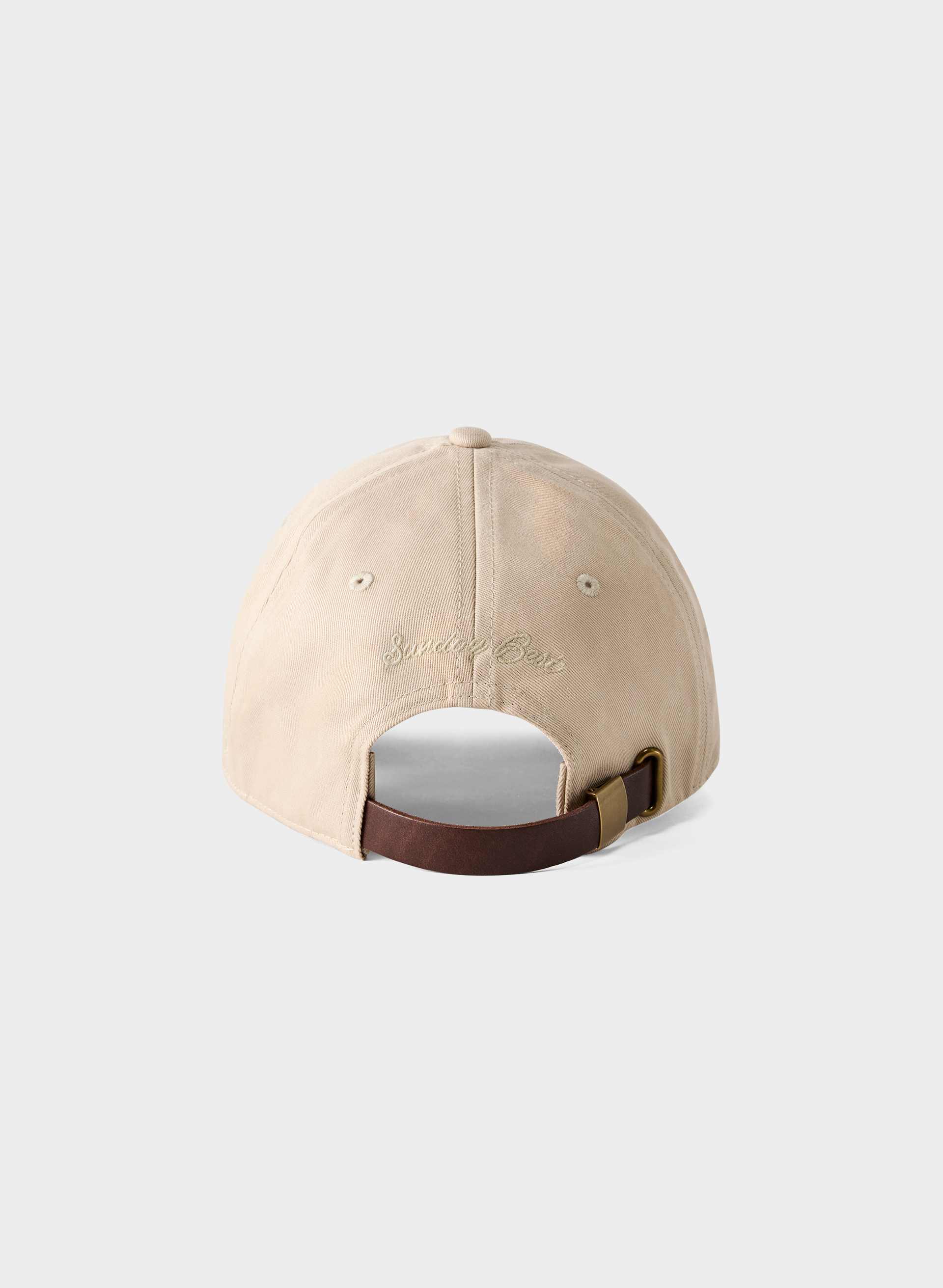 CELSIUS BASEBALL HAT | Aritzia