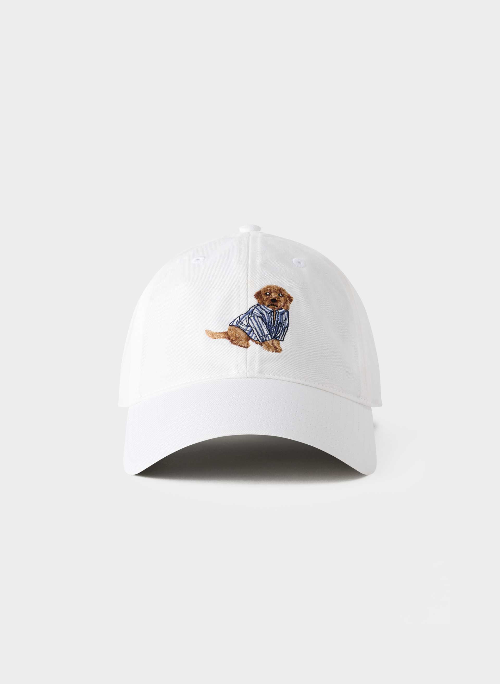 CELSIUS BASEBALL HAT | Aritzia