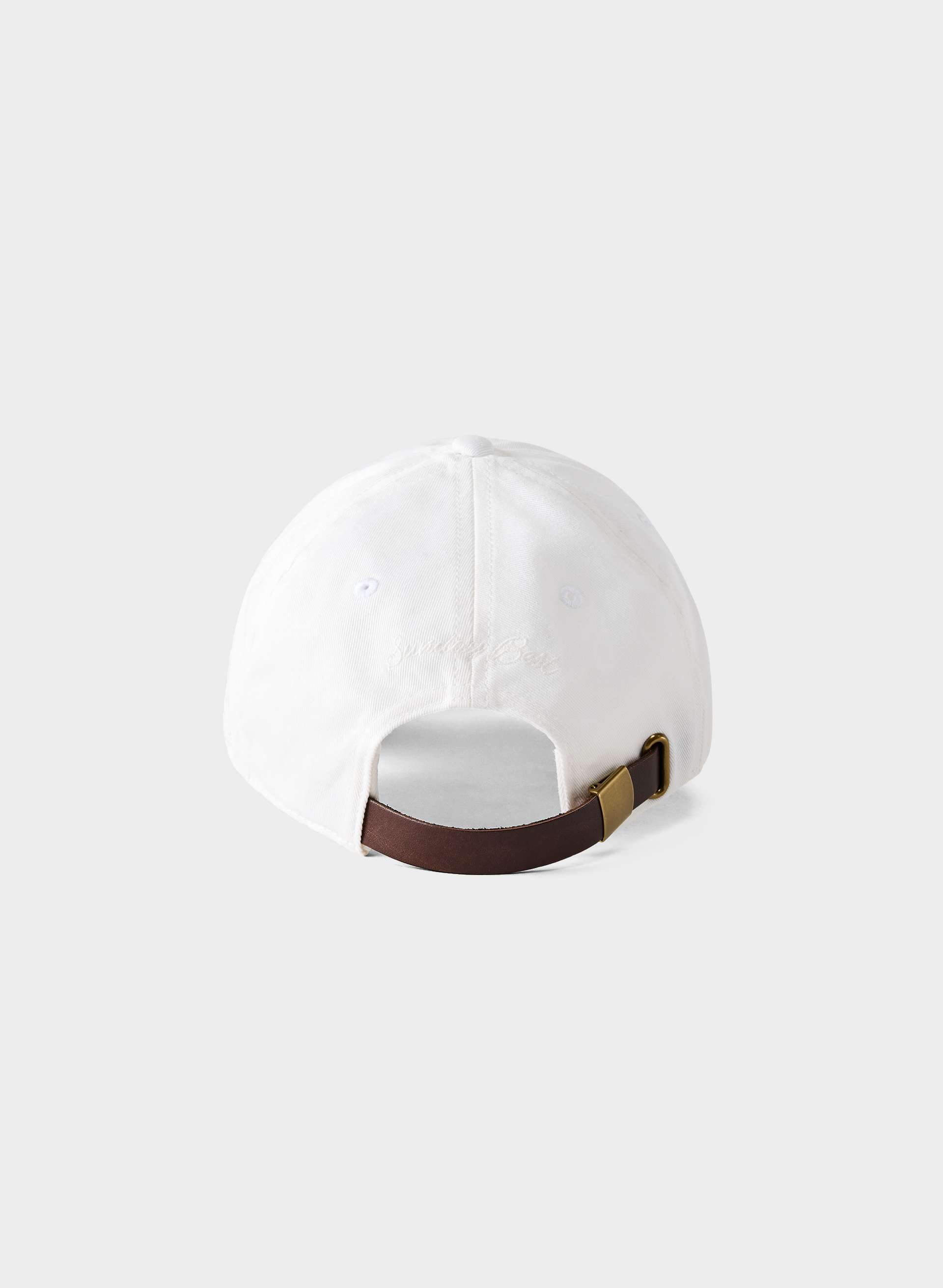 CELSIUS BASEBALL HAT | Aritzia