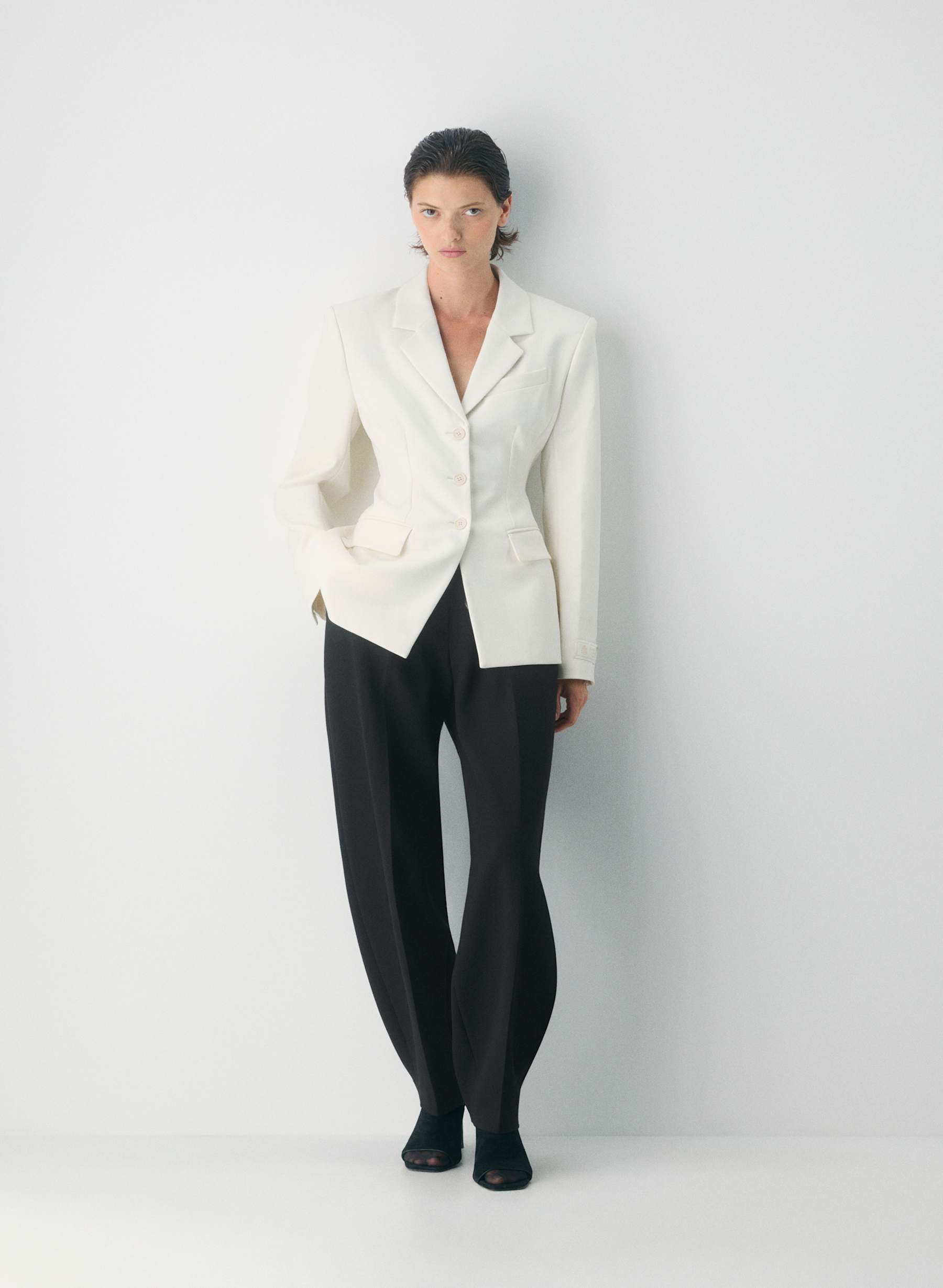 Aritzia Standout Blazer — photo 1