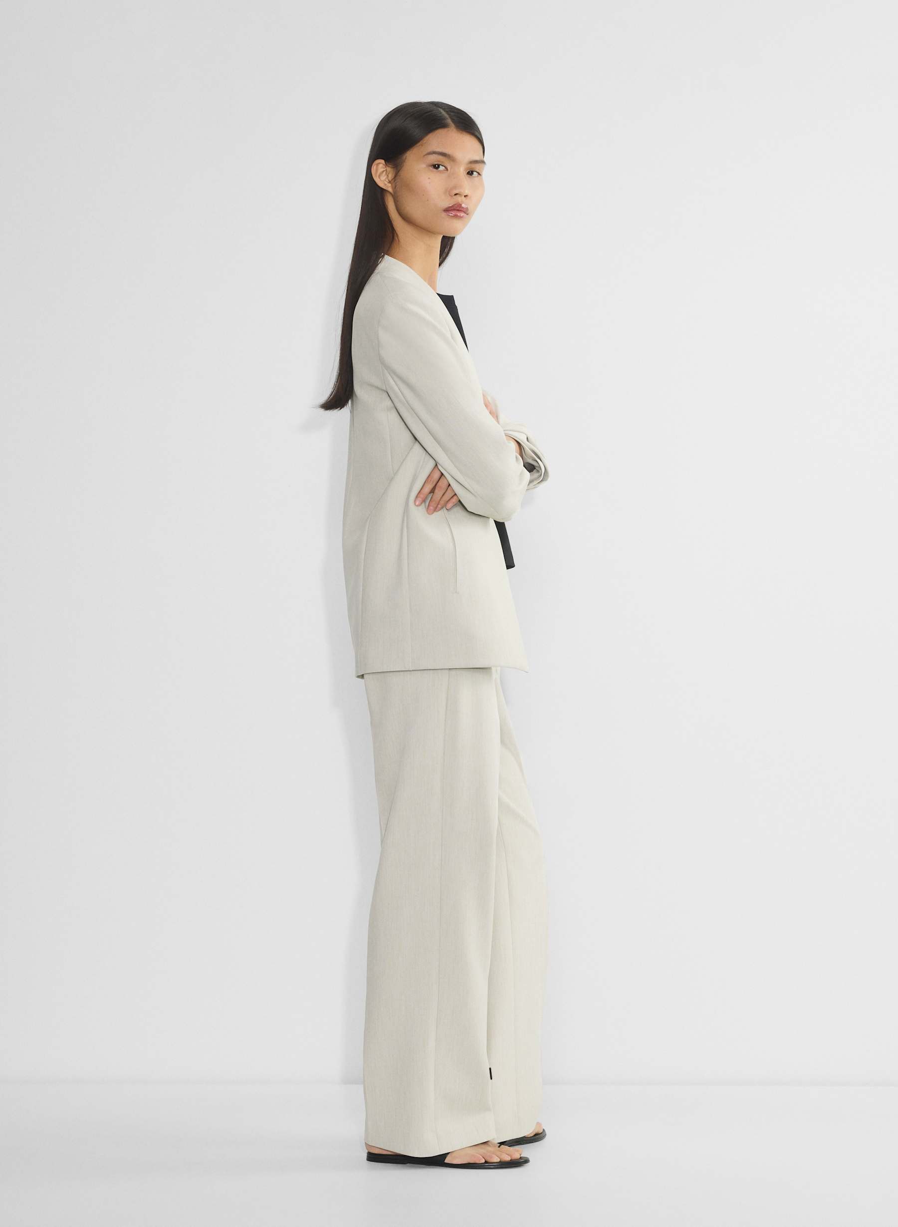Babaton POWER BLAZER | Aritzia INTL