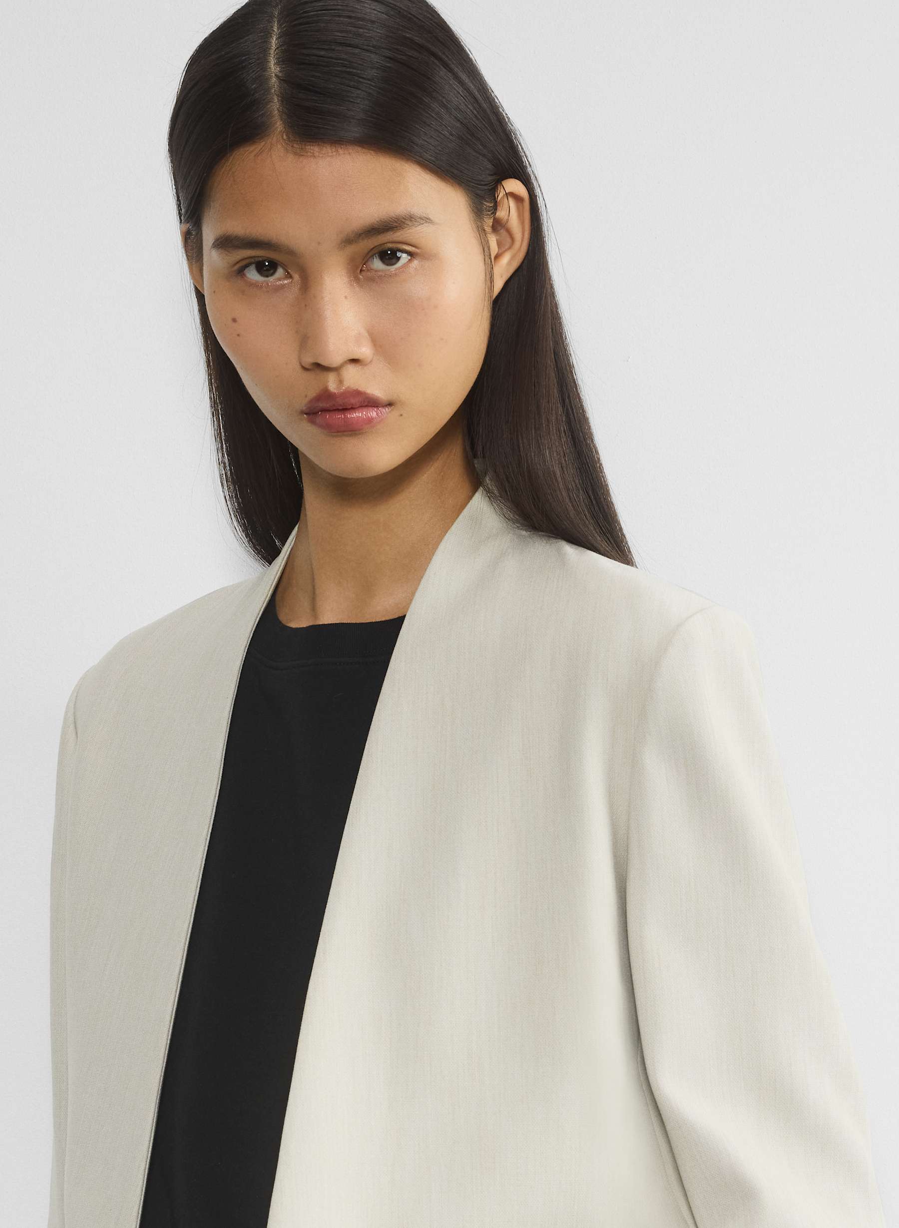 Babaton POWER BLAZER | Aritzia CA