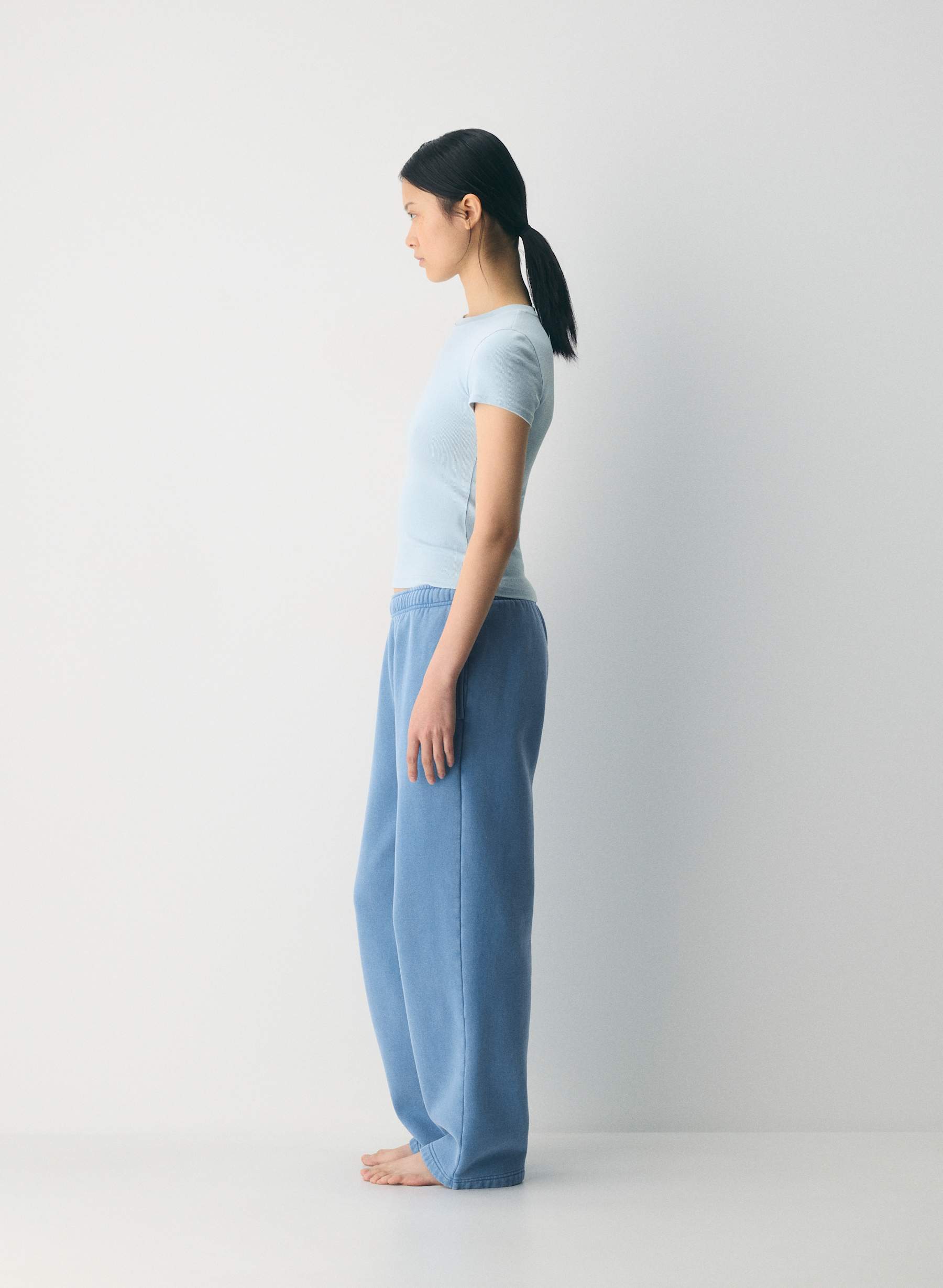 Aritzia Homestretch%E2%84%A2 Rib Tune T Shirt — photo 3