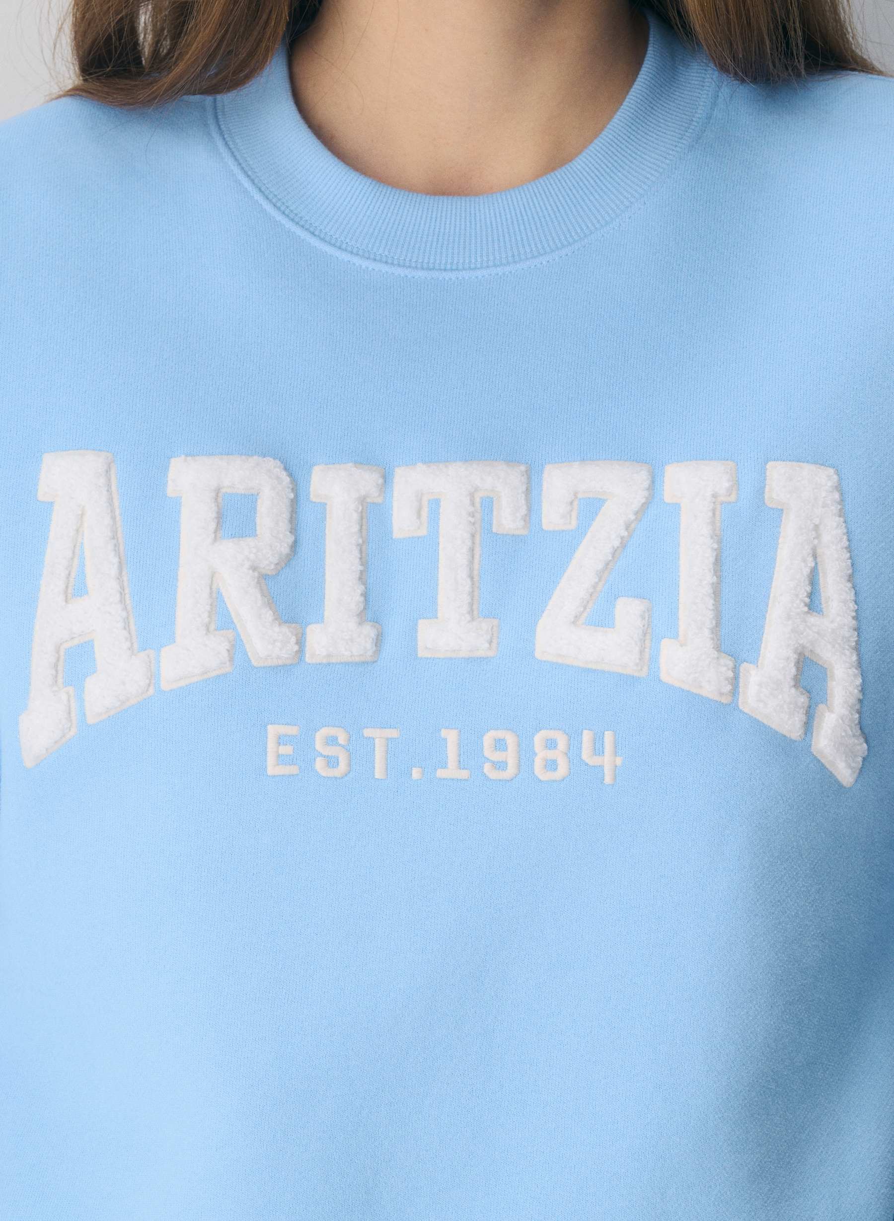 Aritzia Cozy Sweatfleece Perfect Crew Sweatshirt — photo 4