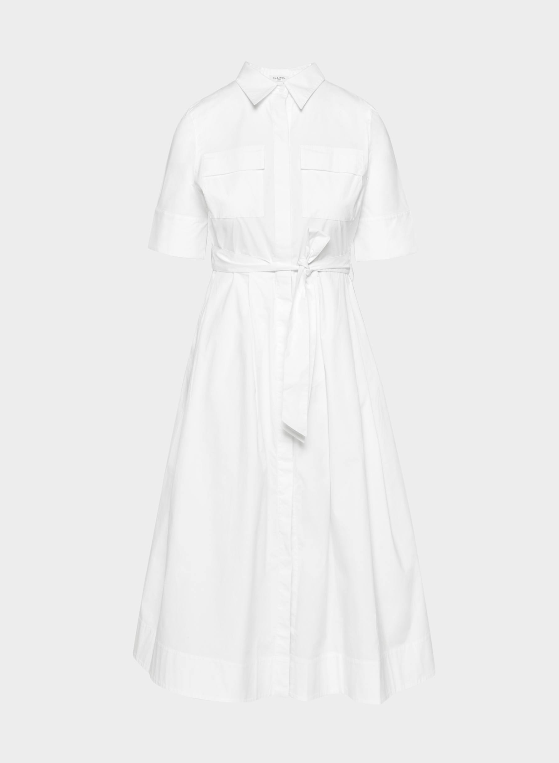 Babaton Fresno Poplin Dress — photo 7