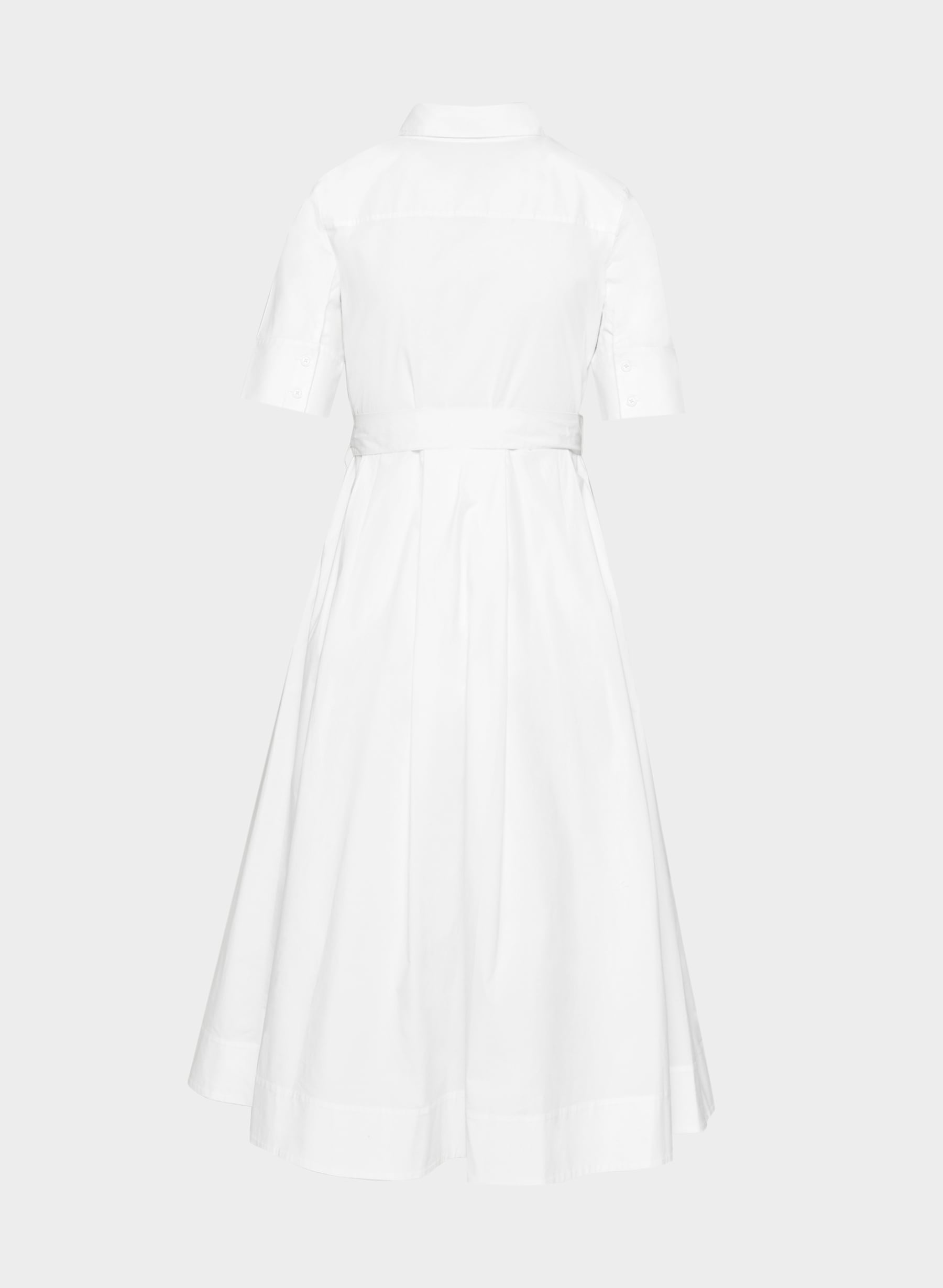 Babaton Fresno Poplin Dress — photo 8