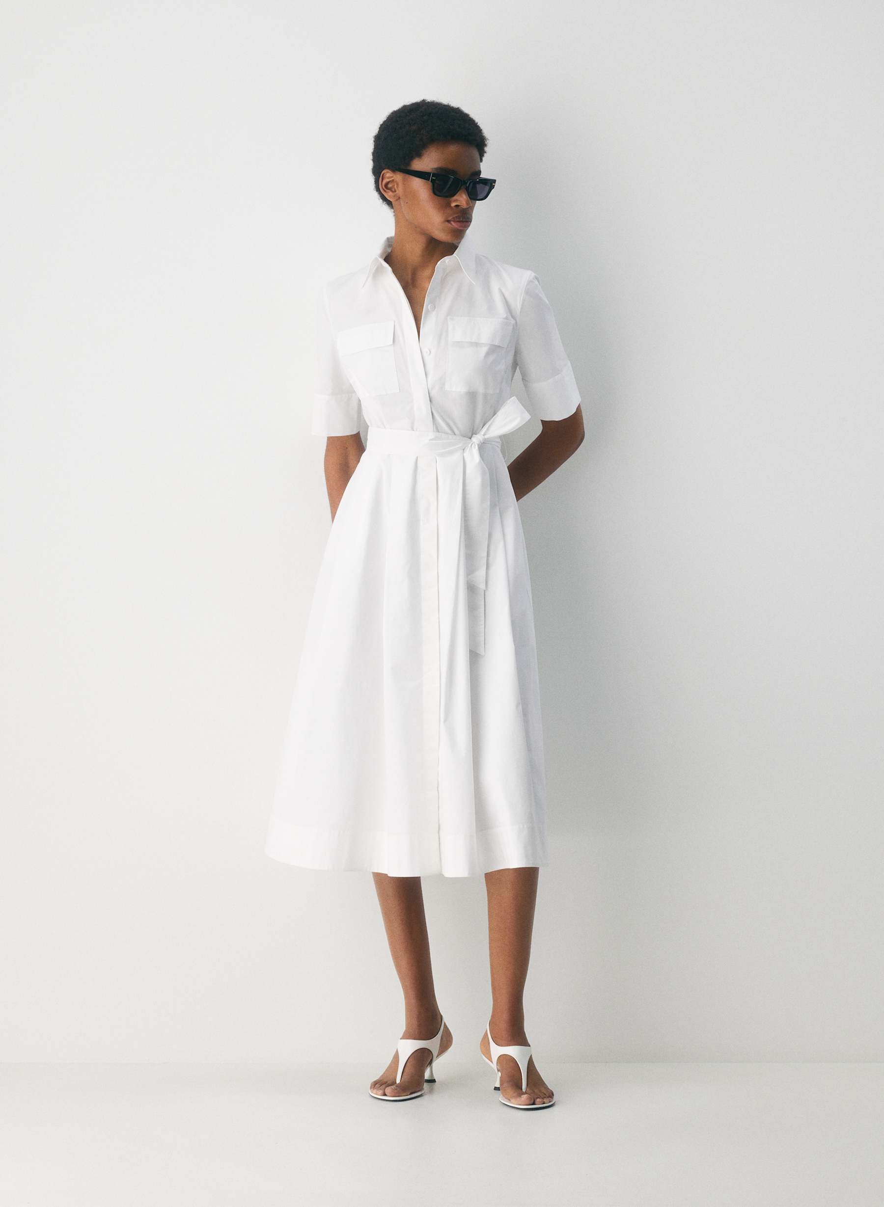 Babaton Fresno Poplin Dress — photo 1