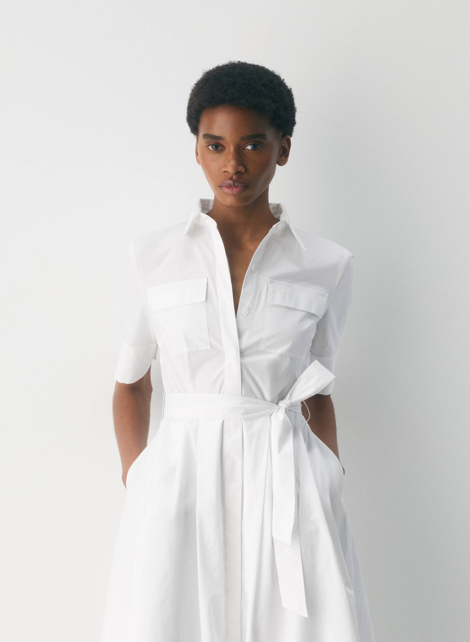 Babaton Fresno Poplin Dress — photo 2