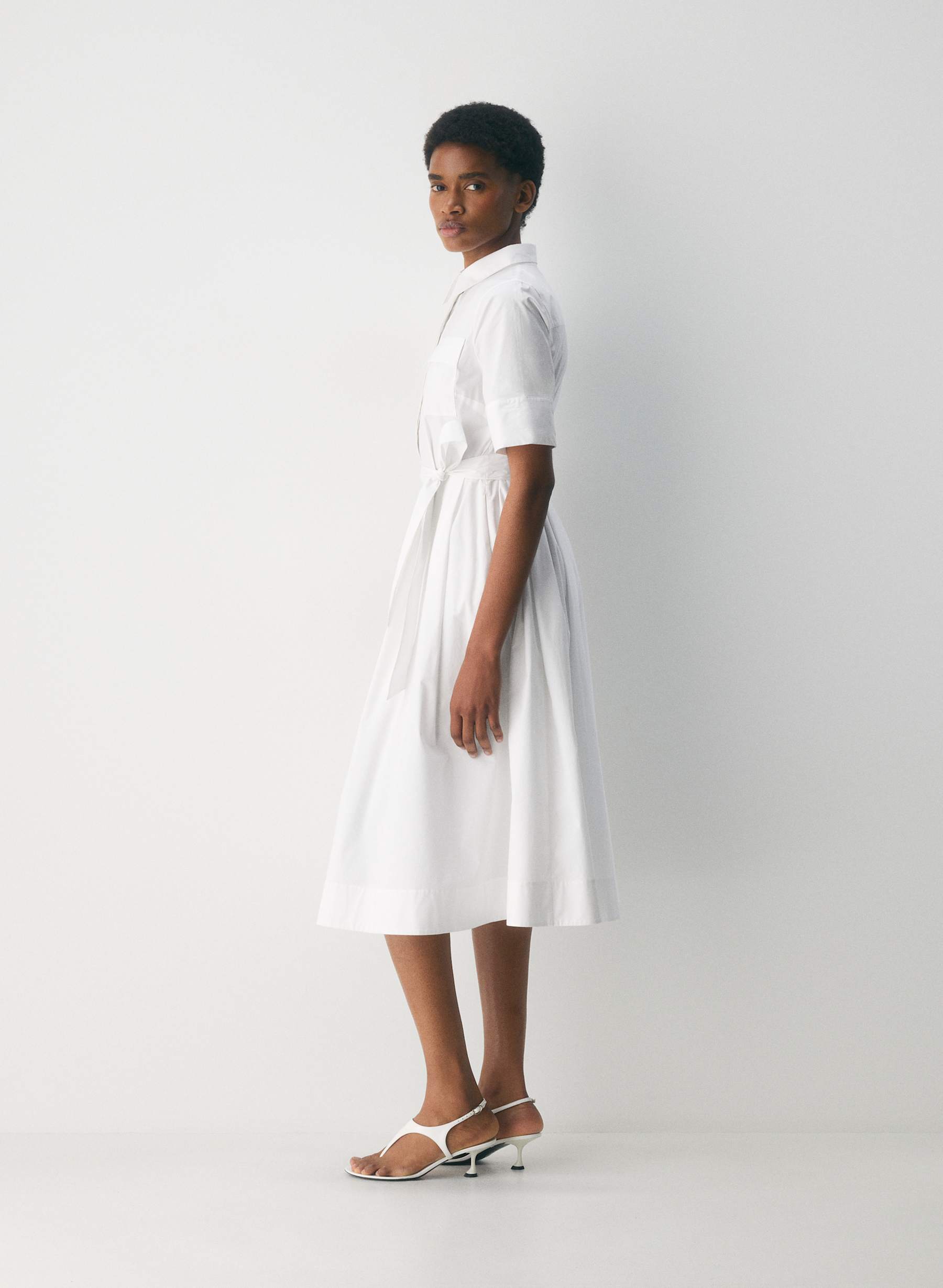 Babaton Fresno Poplin Dress — photo 3