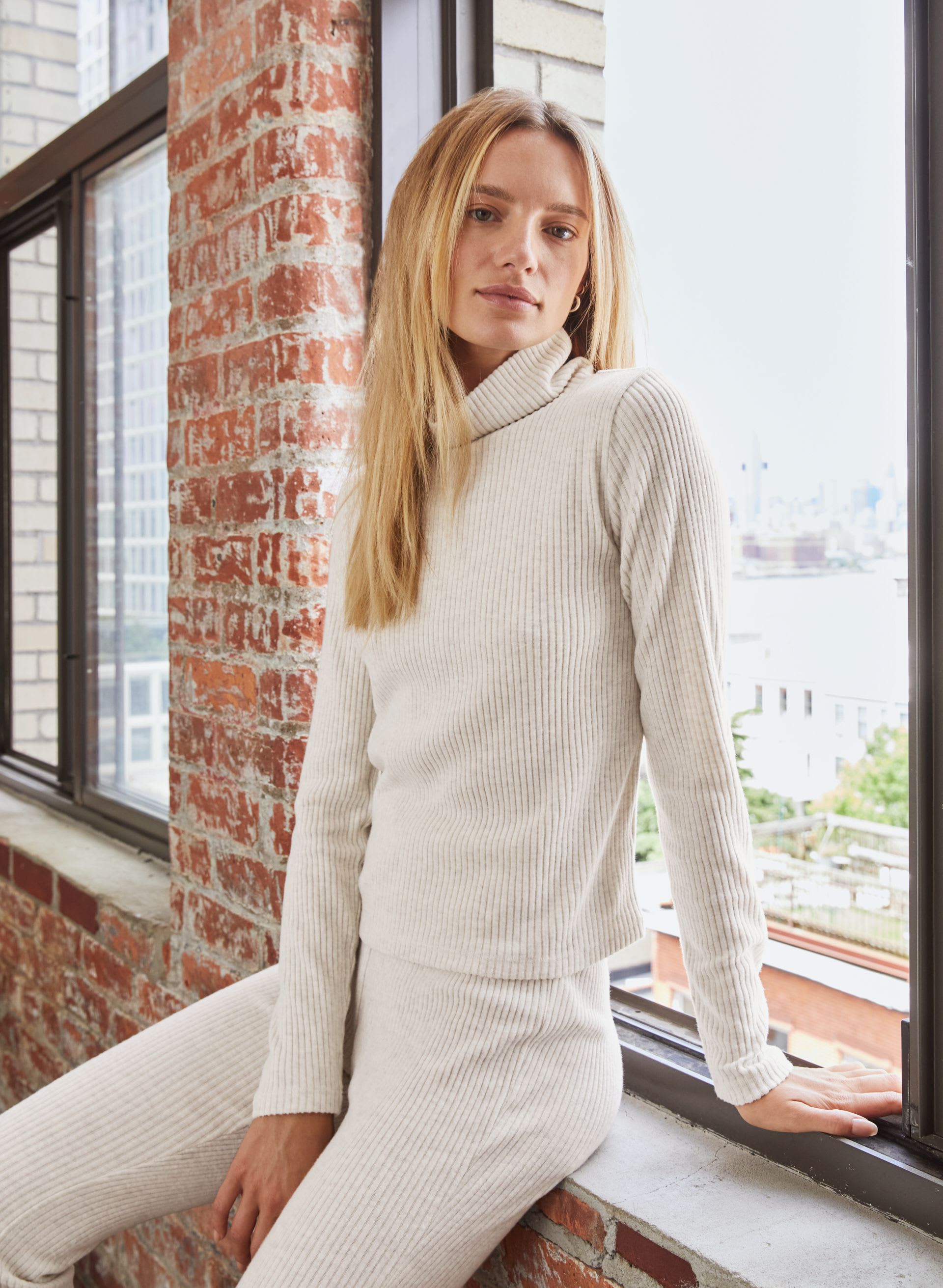 Traverse Turtleneck | Aritzia CA