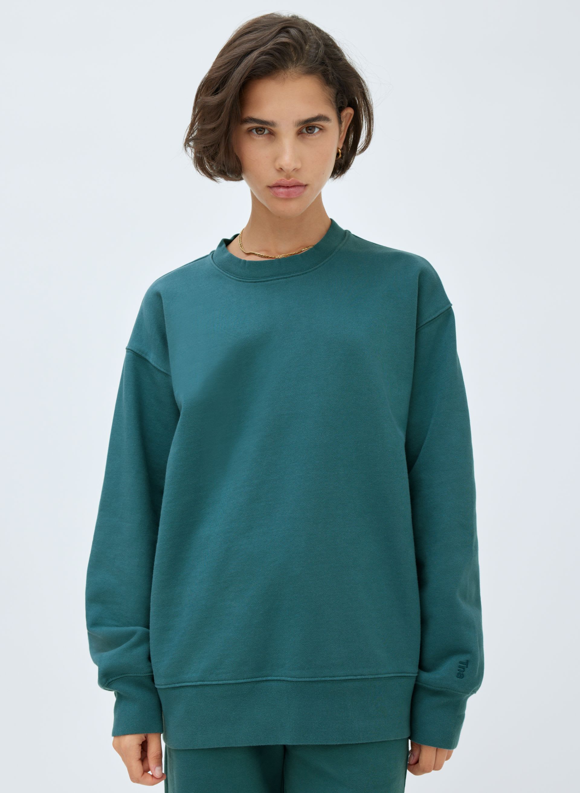 Extra Fleece Boyfriend Crew Sweatshirt | Aritzia US