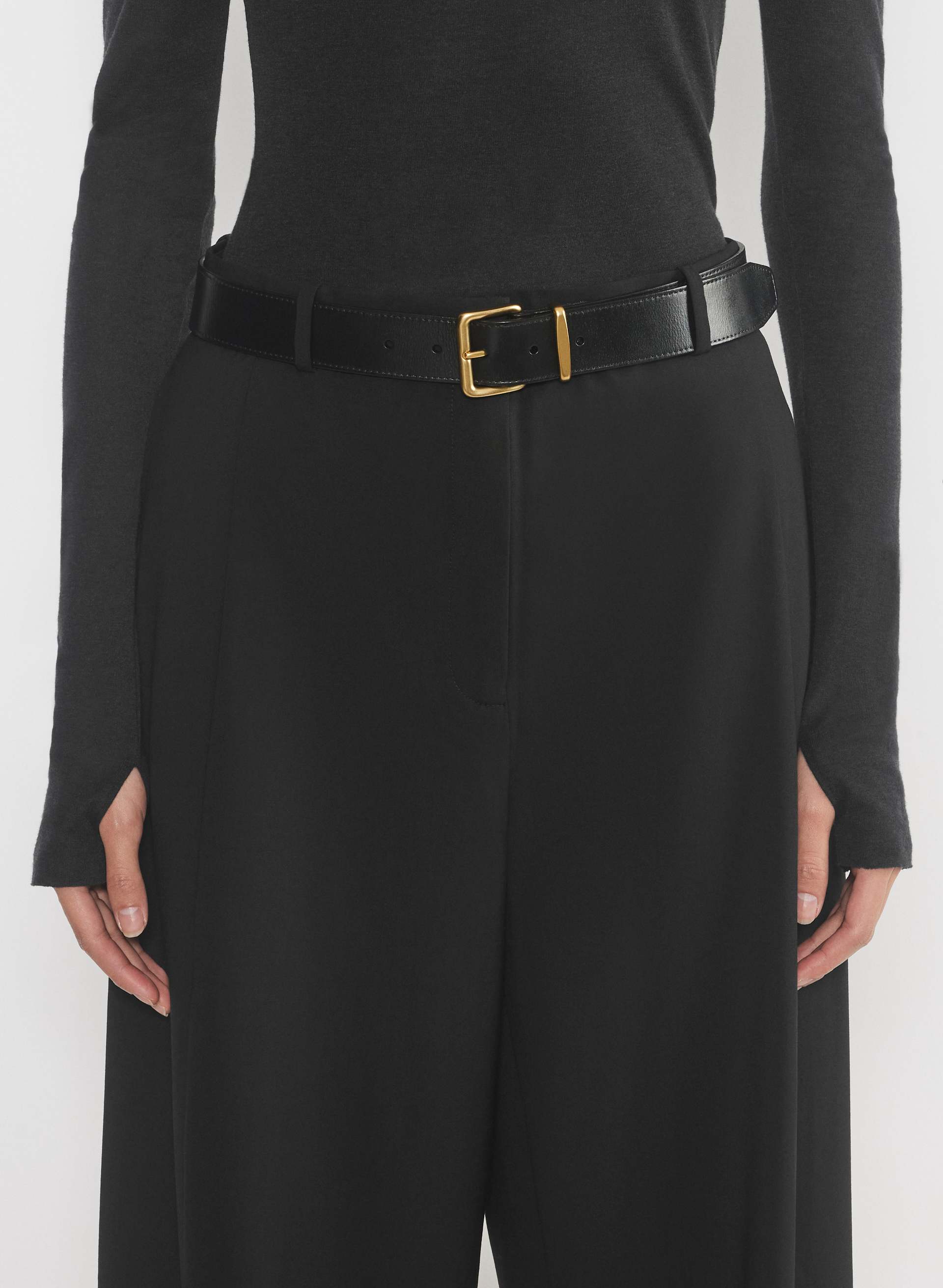 Aritzia Auxiliary Brass Gold Buckle Black Leather Belt f25_n04_125957_14287_on_a main image 3