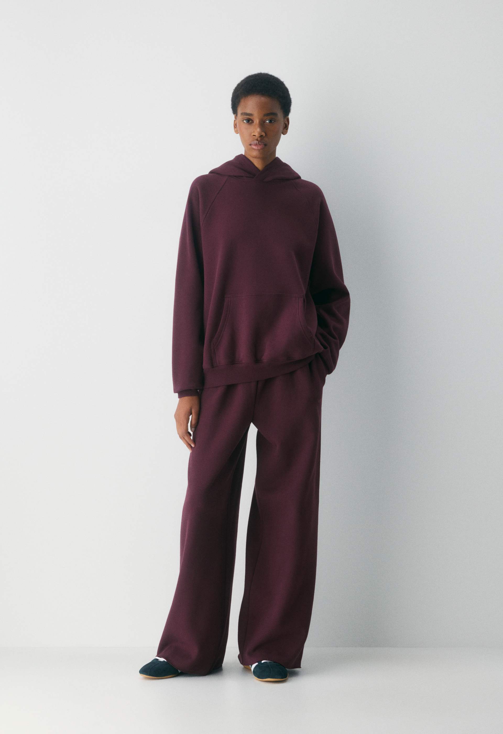 Aritzia Hoodie