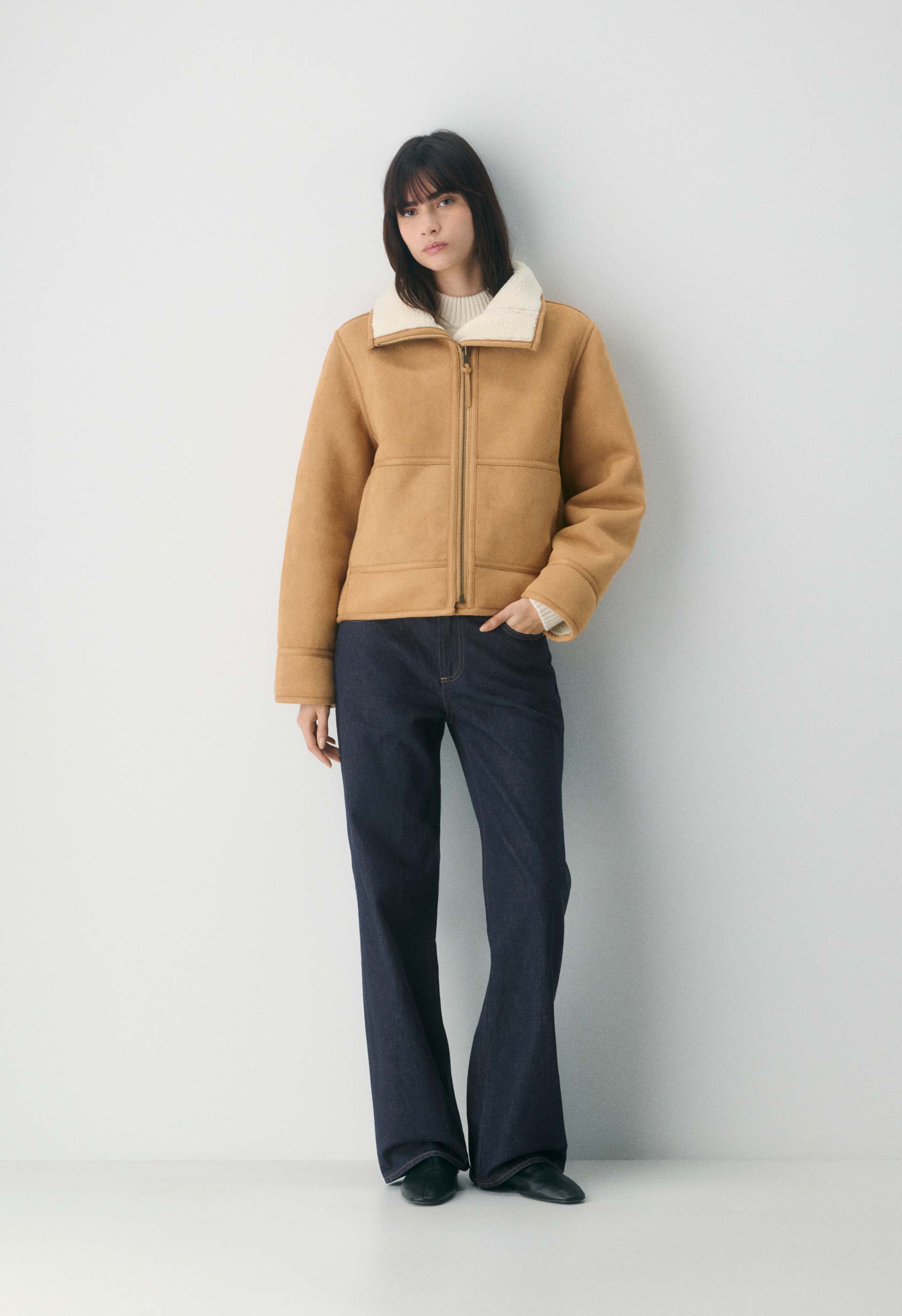 Dulcimer Coat | Aritzia US