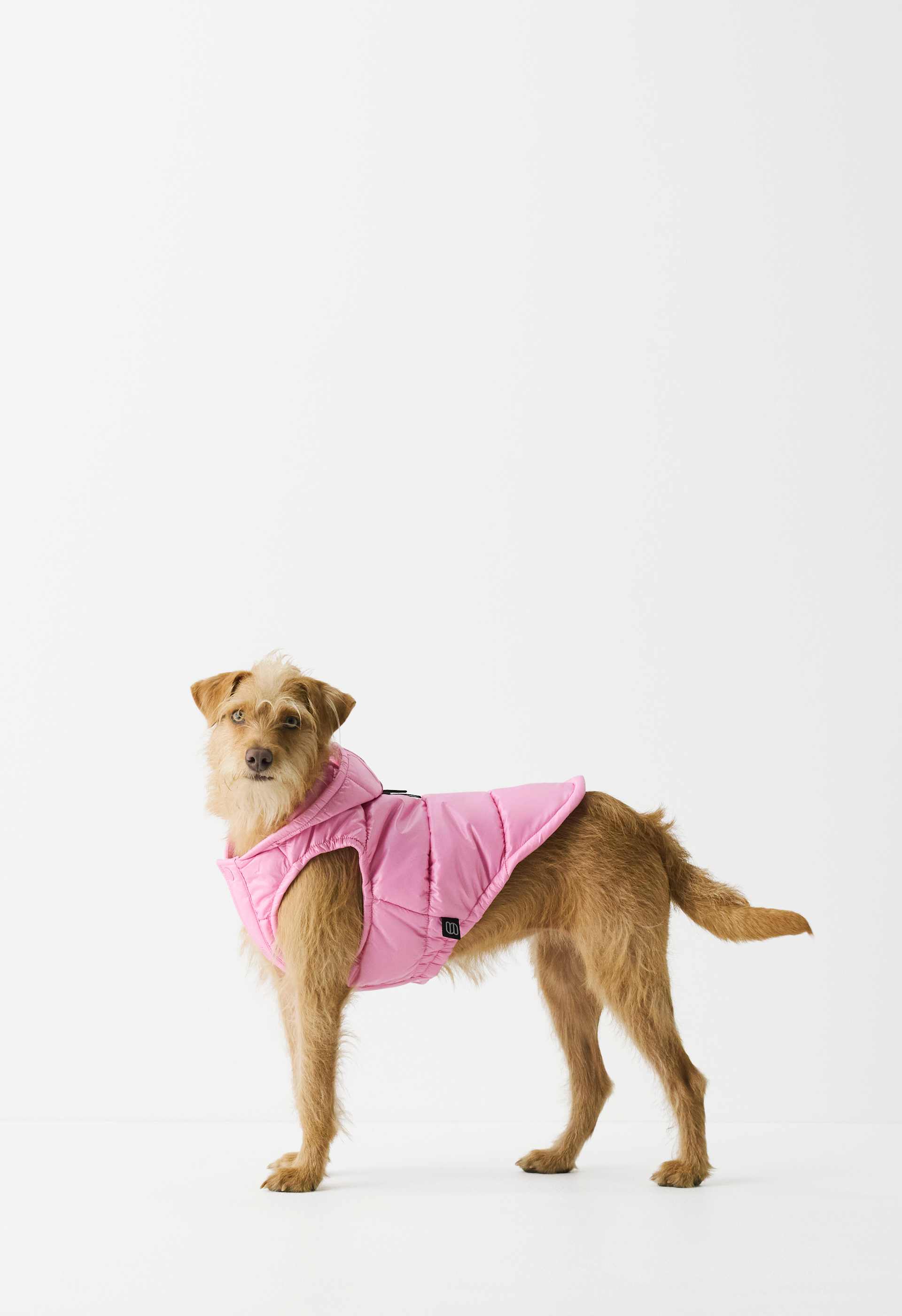 The Super Ruff Puff™