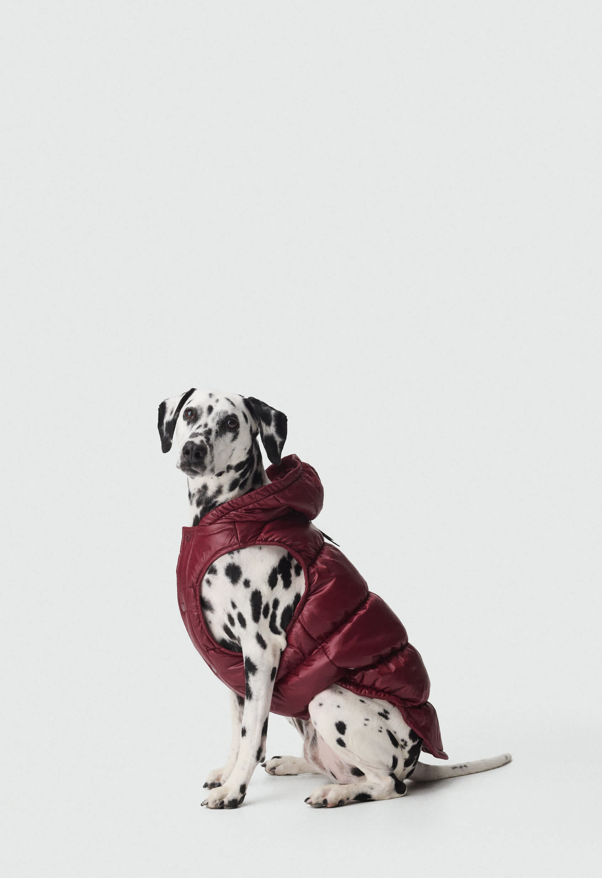 The Super Ruff Puff™ - Hi-Gloss
