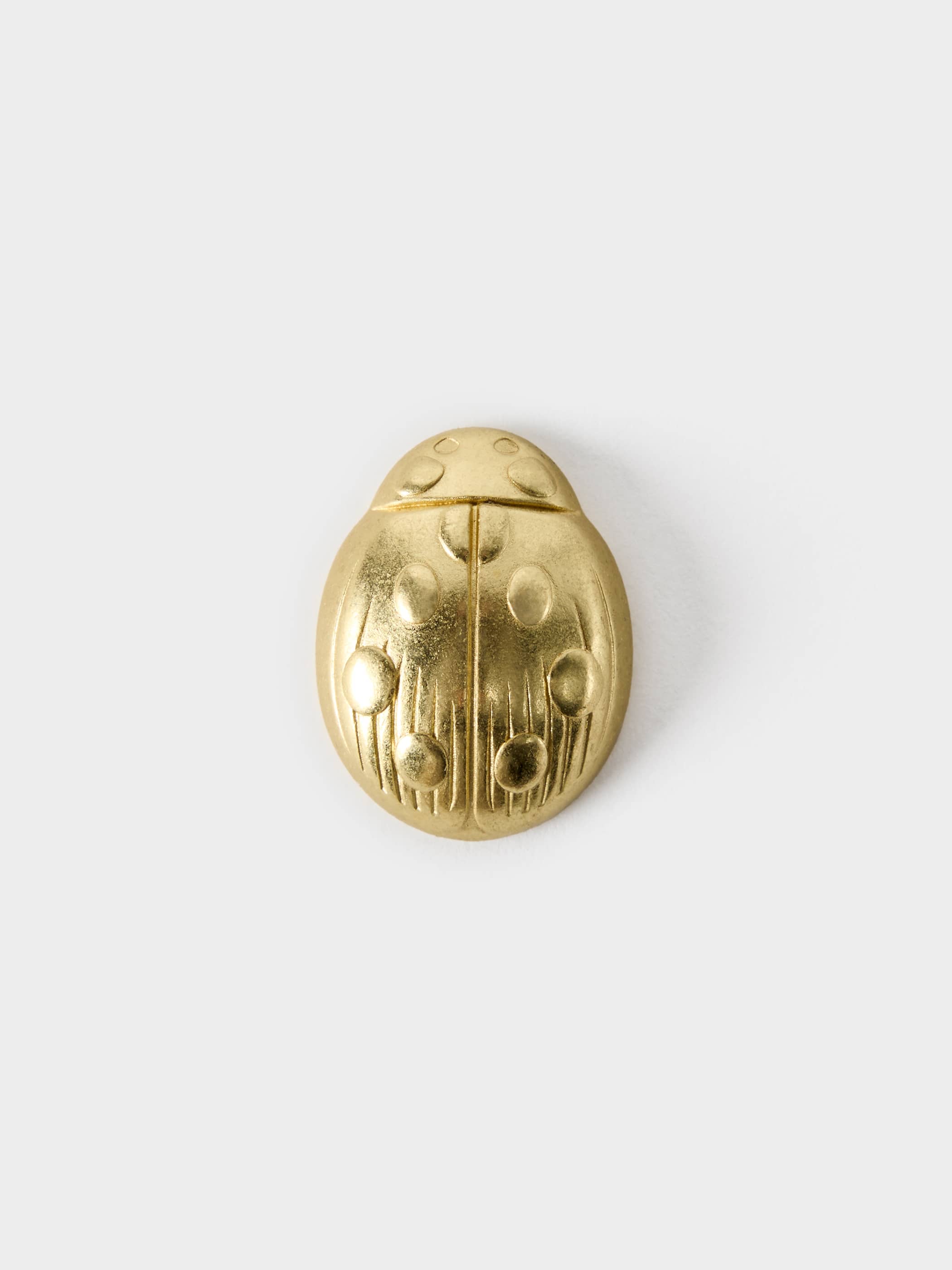 The Aritzia Ladybug