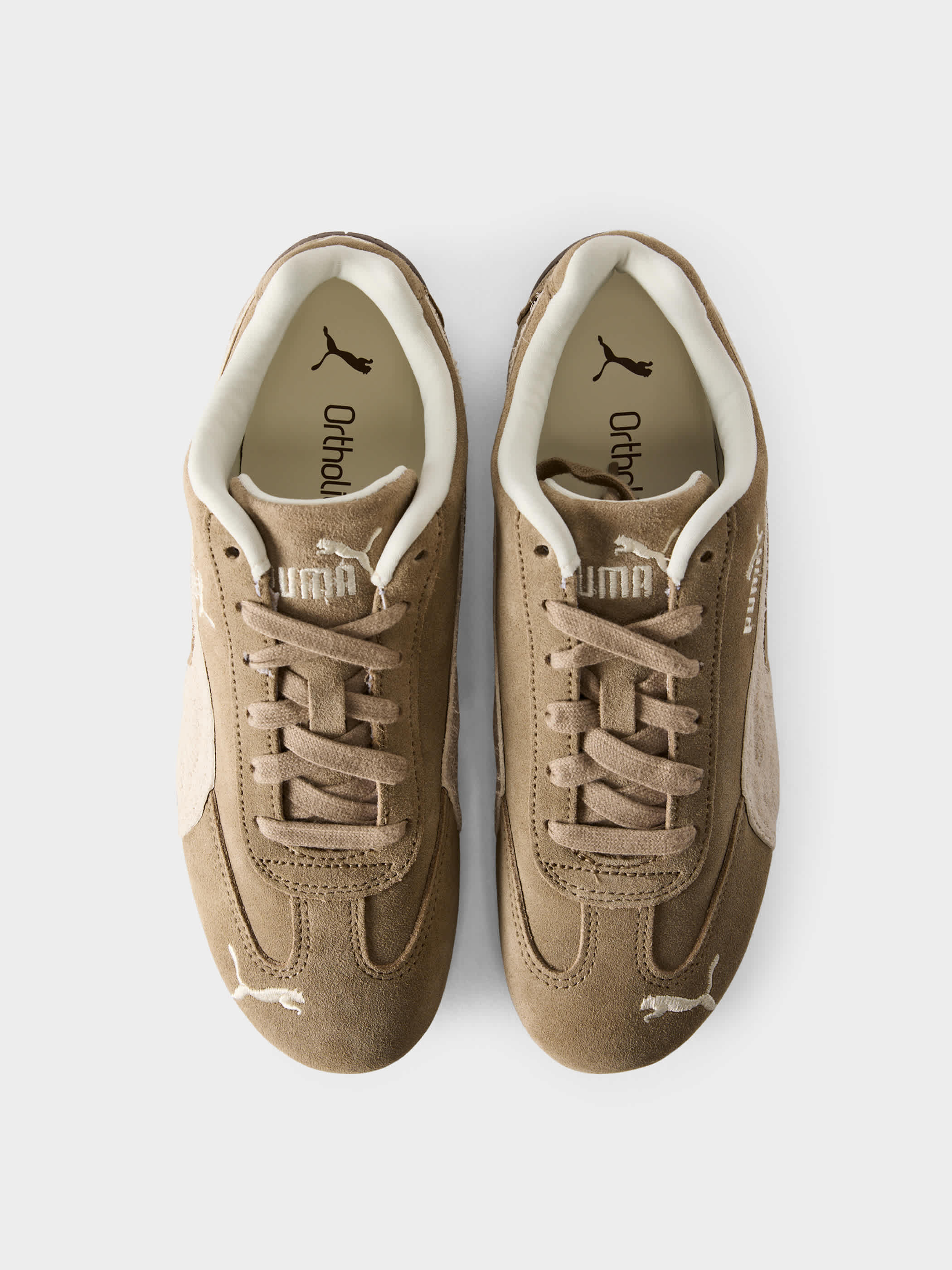 PUMA