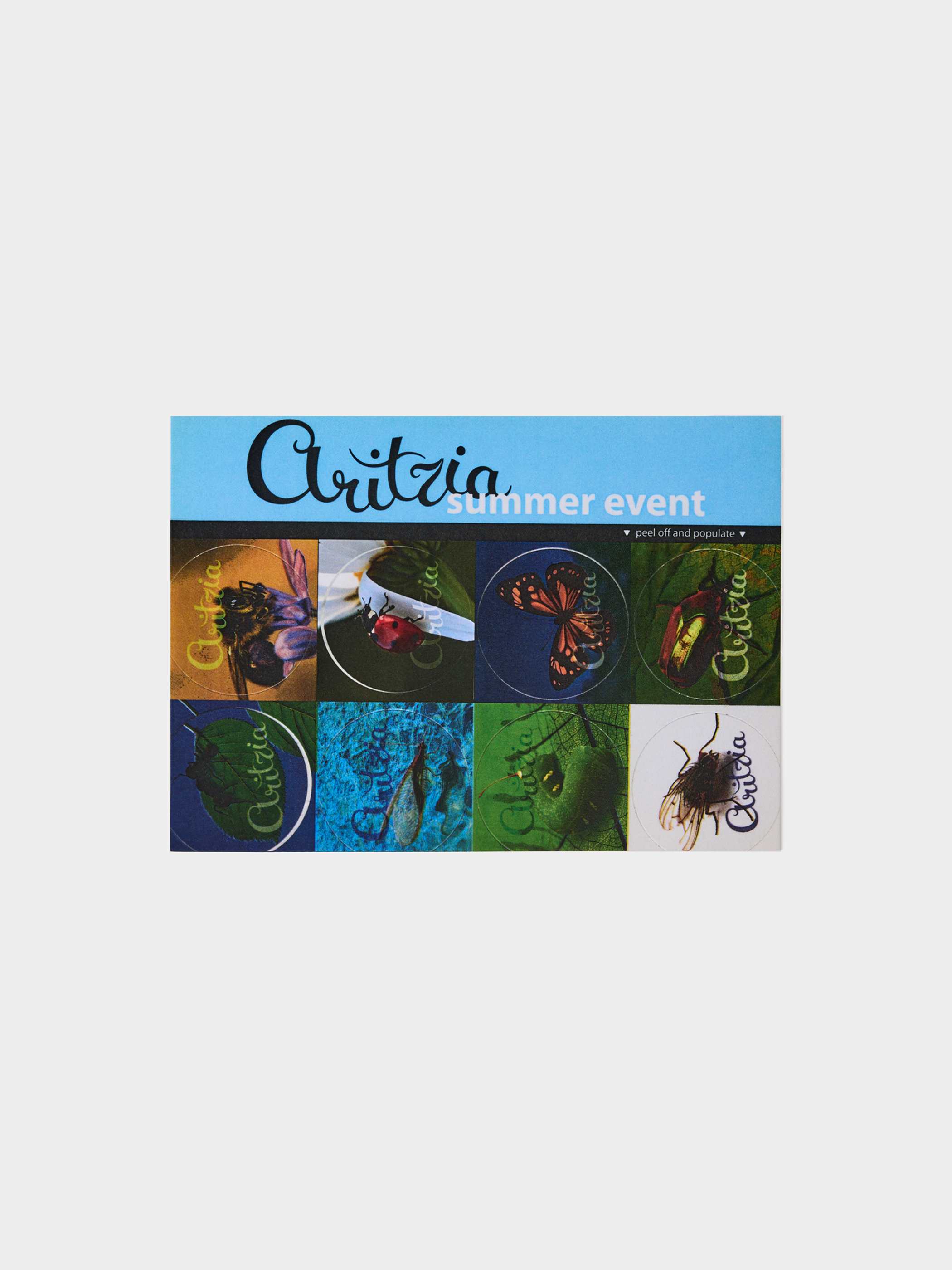 1994