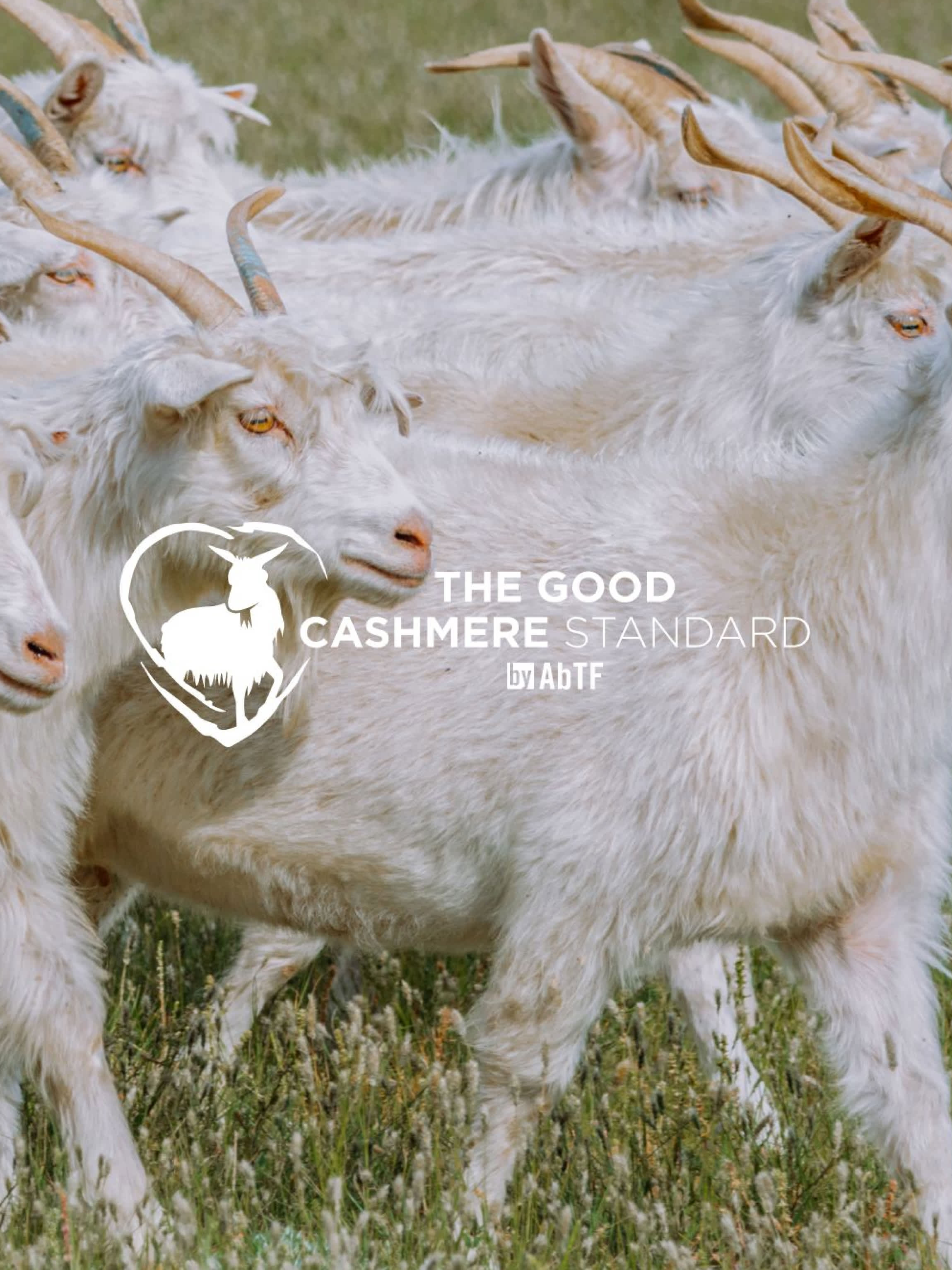 Responsible Cashmere