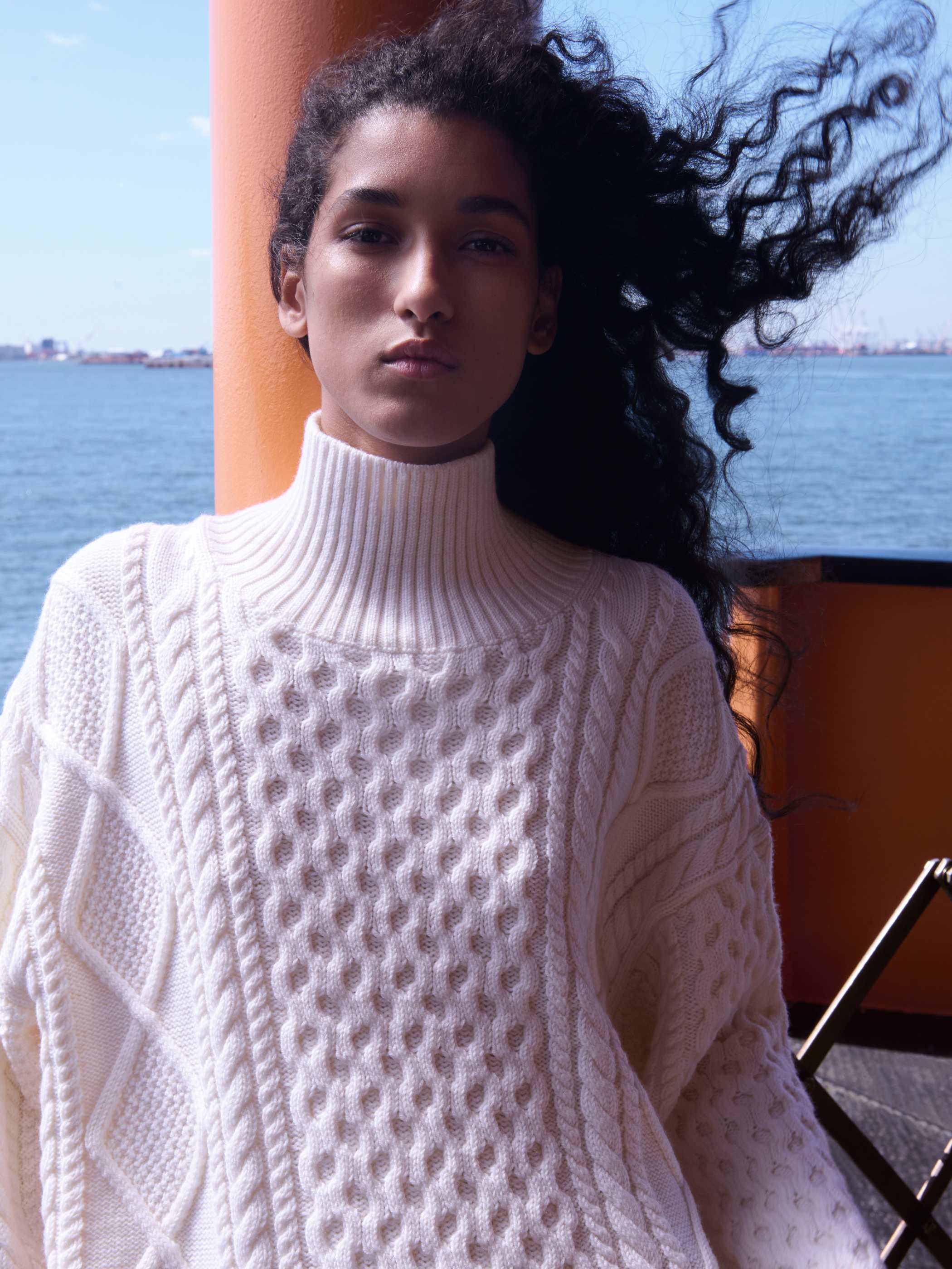 CABLE KNIT MERINO WOOL LINGUIST TURTLENECK | Aritzia